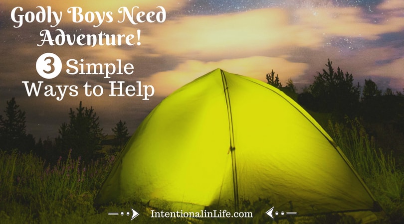 Our All-Knowing God created boys and girls with so many differences we can't number them. He had a plan and a design. It is critical that we raise them up to be who He created them to Be. Godly Boys were created with a wild nature and long for adventure - just like God. How can we nurture them to raise godly men?
